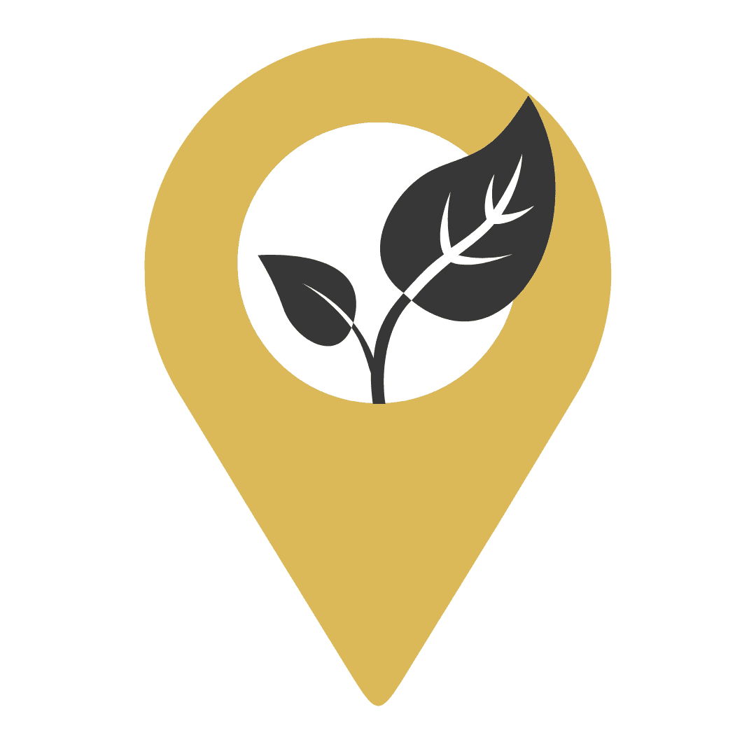 Leiderschap